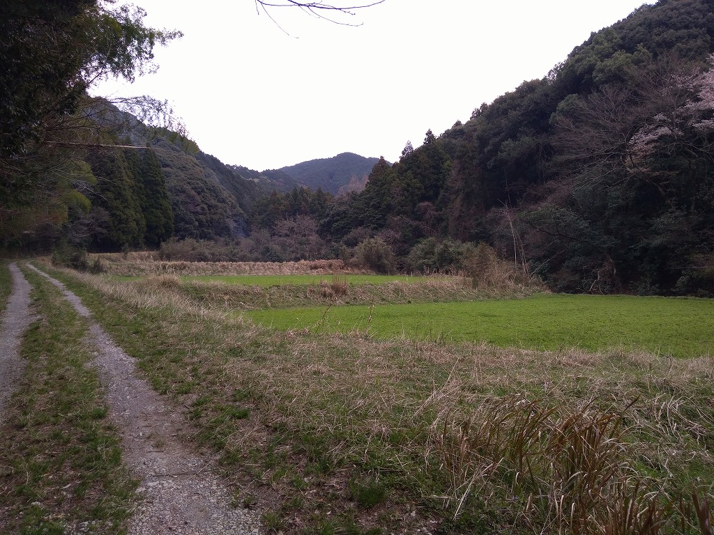 耕地