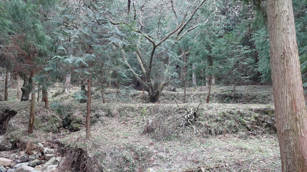 耕地跡3