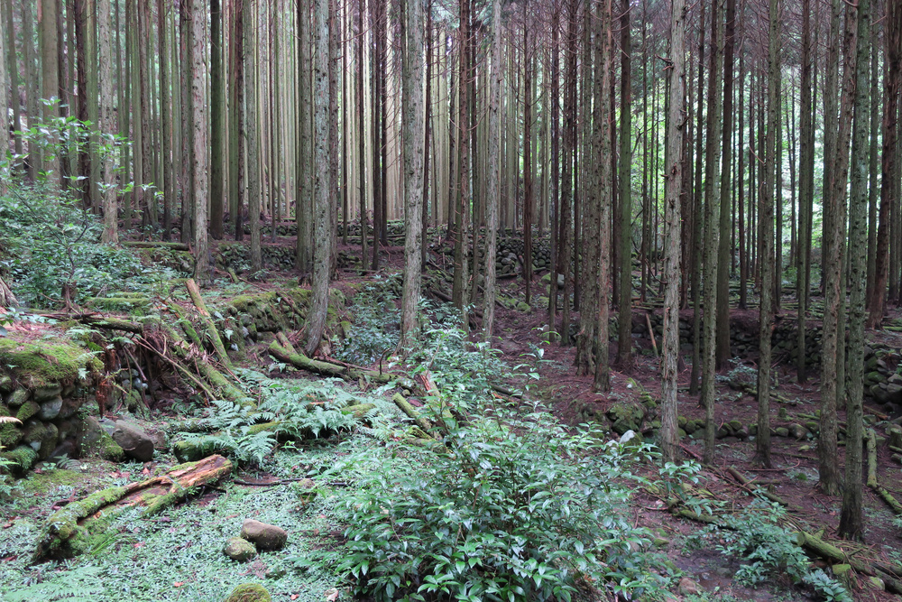 石垣4
