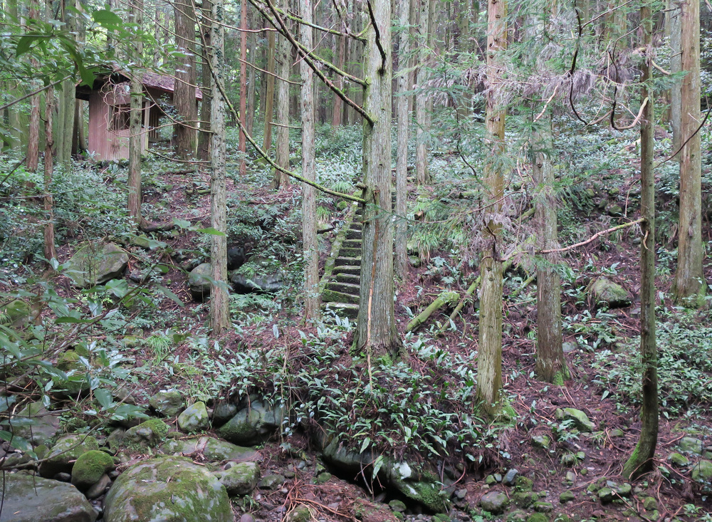 祠　遠景