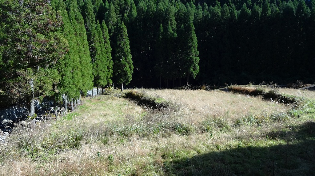 耕地跡1