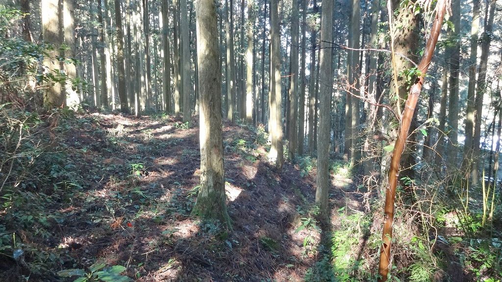 段状になった耕地跡3