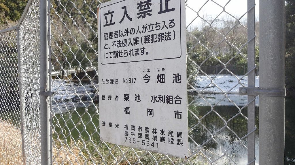 今畑池
