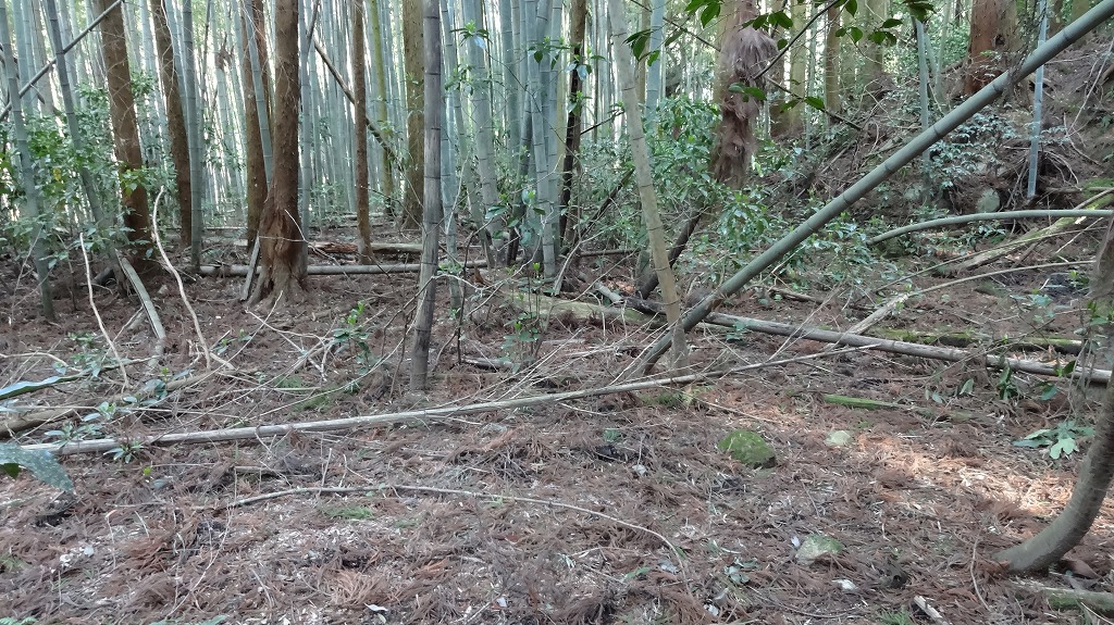 集落跡 家屋跡地1