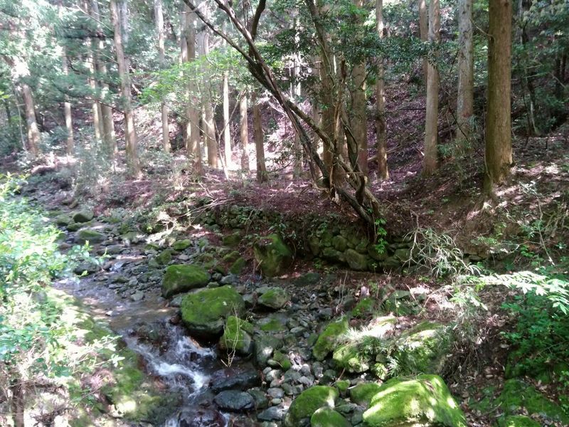 沢沿いの田畑