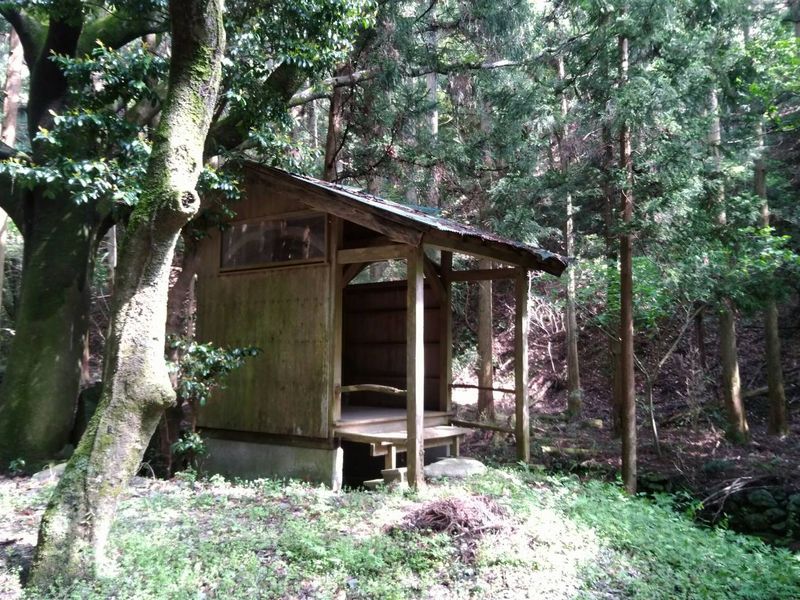 山神社