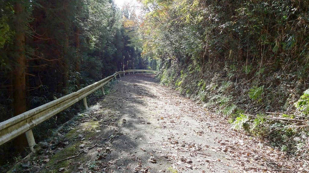 廃村までの道