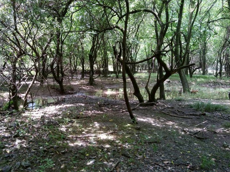 田畑の跡1 align=middle