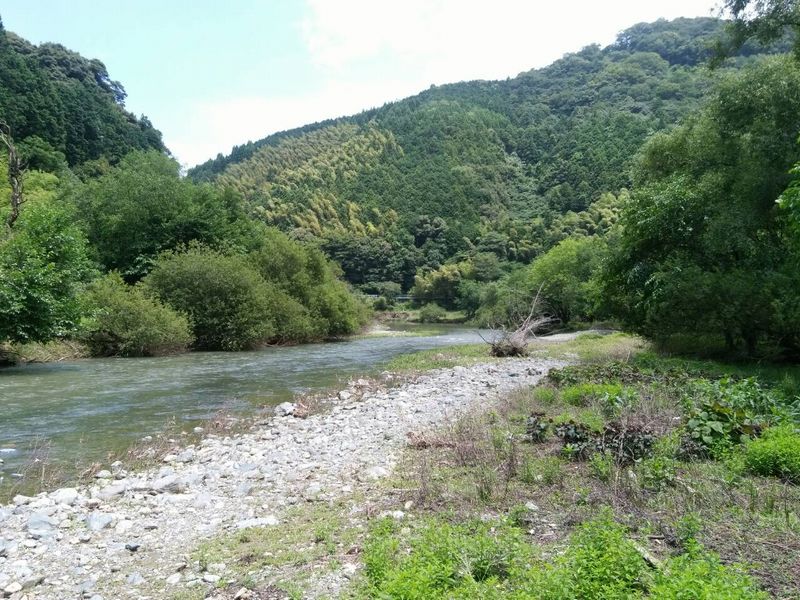 八木山川 align=middle