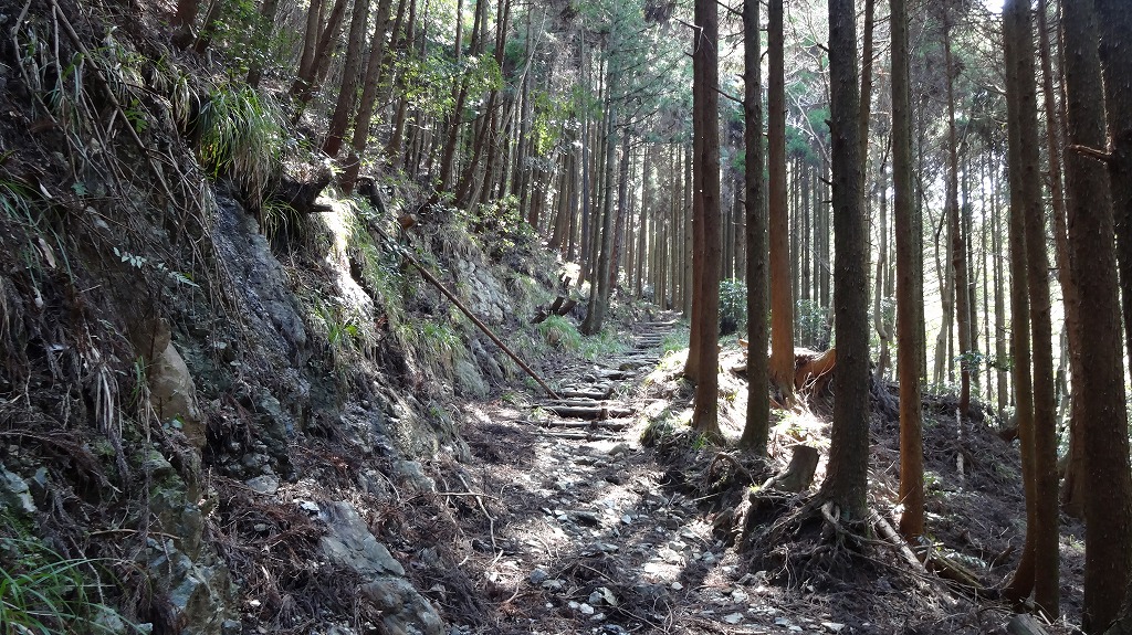 集落跡までの徒歩道