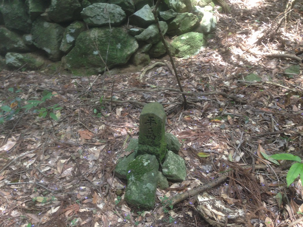 廃村　墓石?