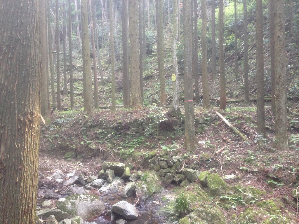 廃村　集落跡南側の河内