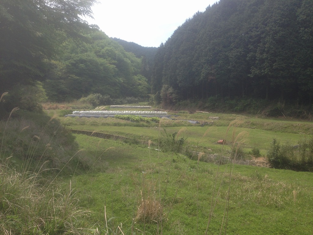 池河内集落