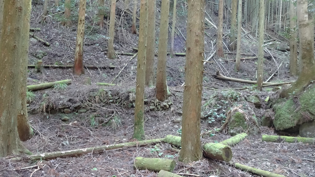 廃村　集落西側の谷の耕地跡