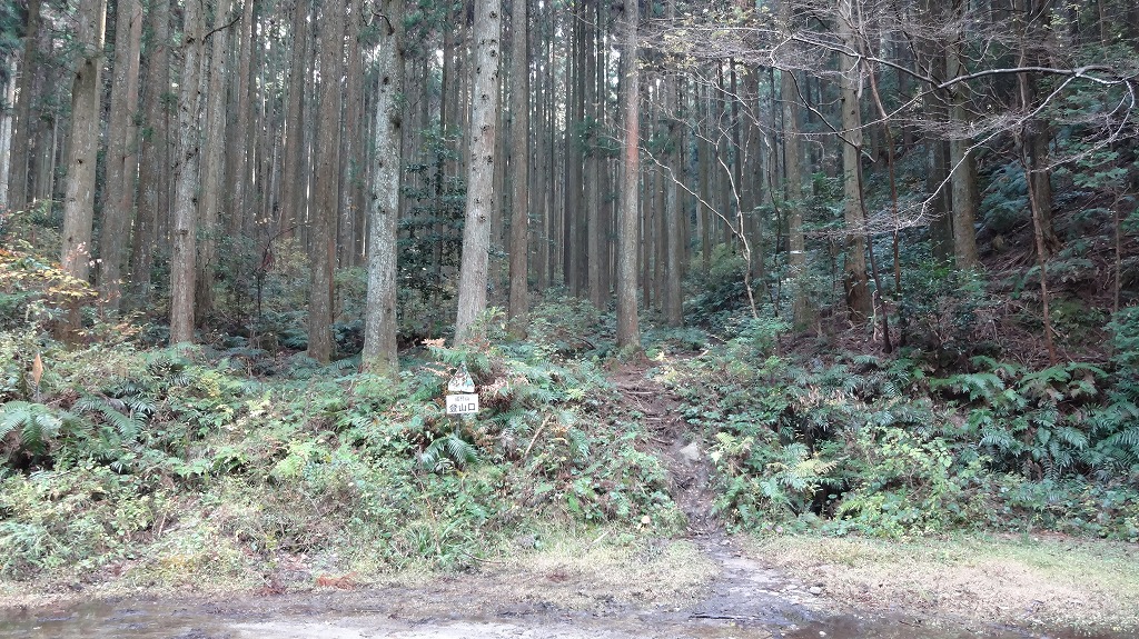 成竹山　登山口