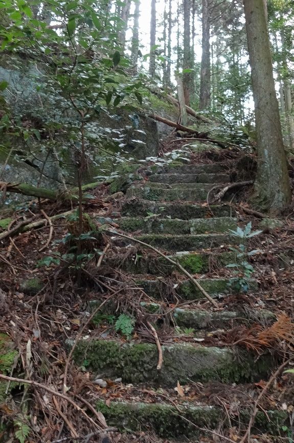 中村山荘跡 石段