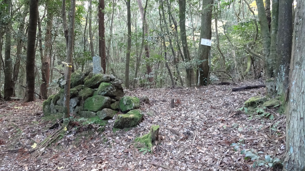 成竹山頂上との分岐