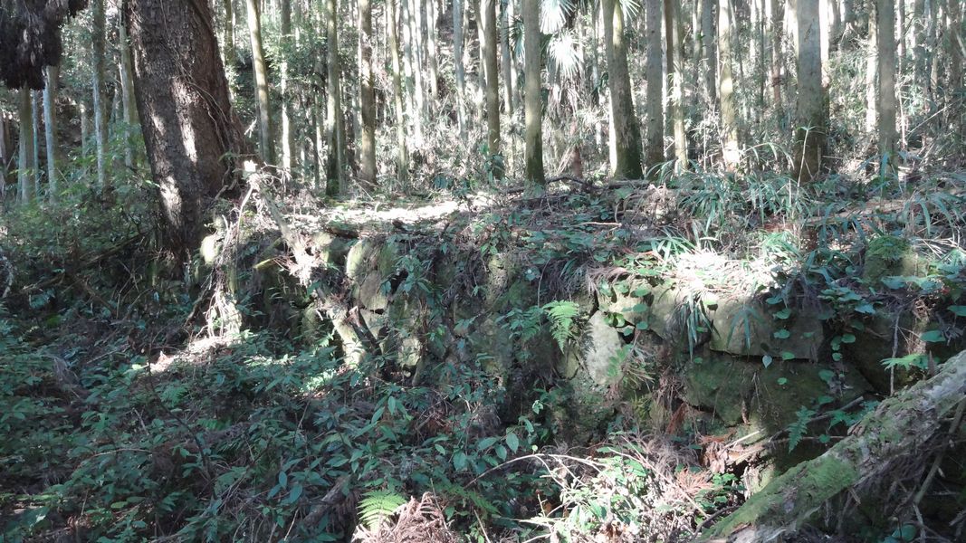 宅地跡　石垣2