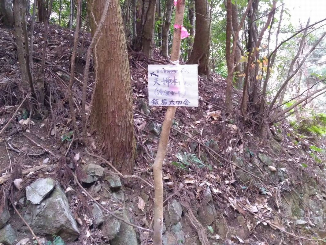 案内看板