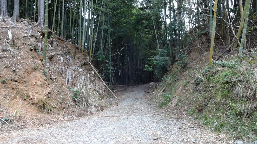 峠頂上