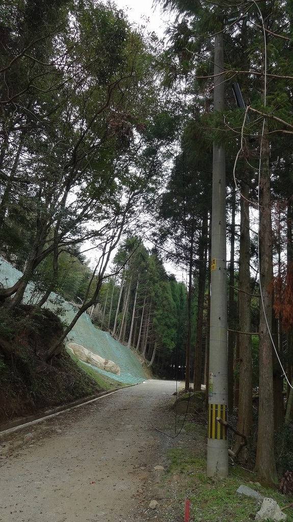 道