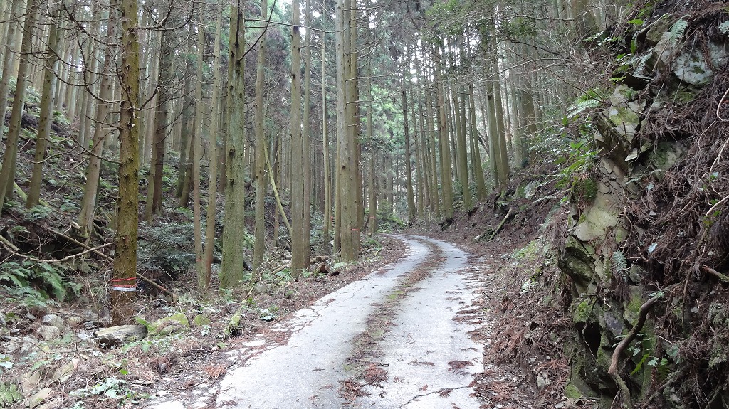 井原山集落からの上り