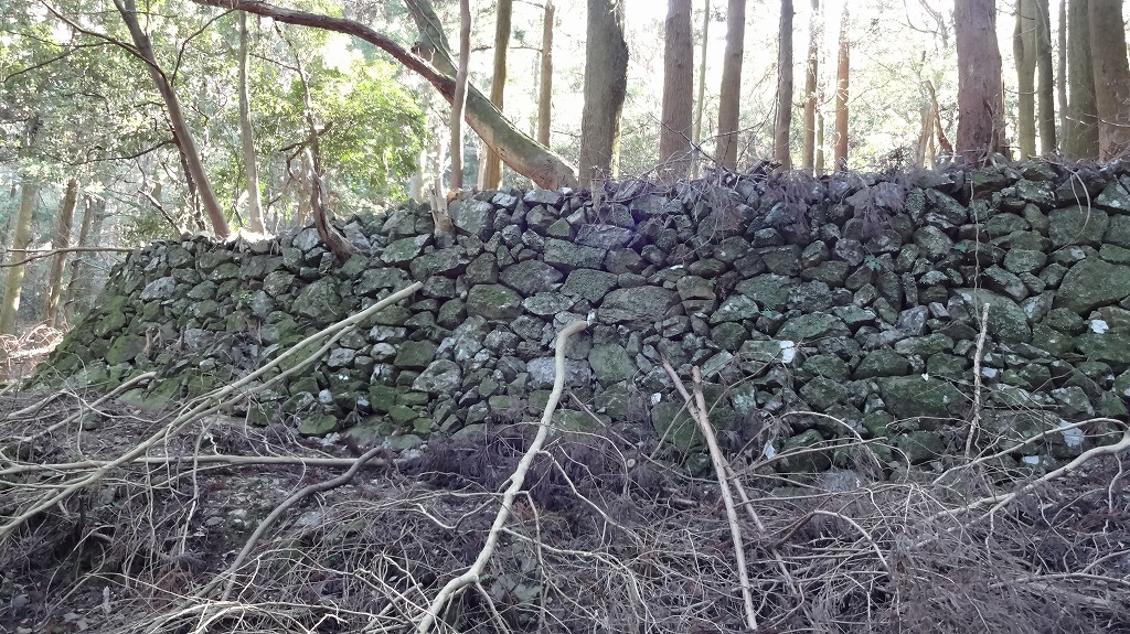 耕地跡2