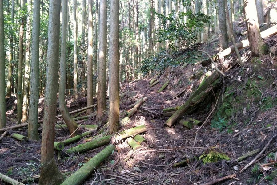 古い道