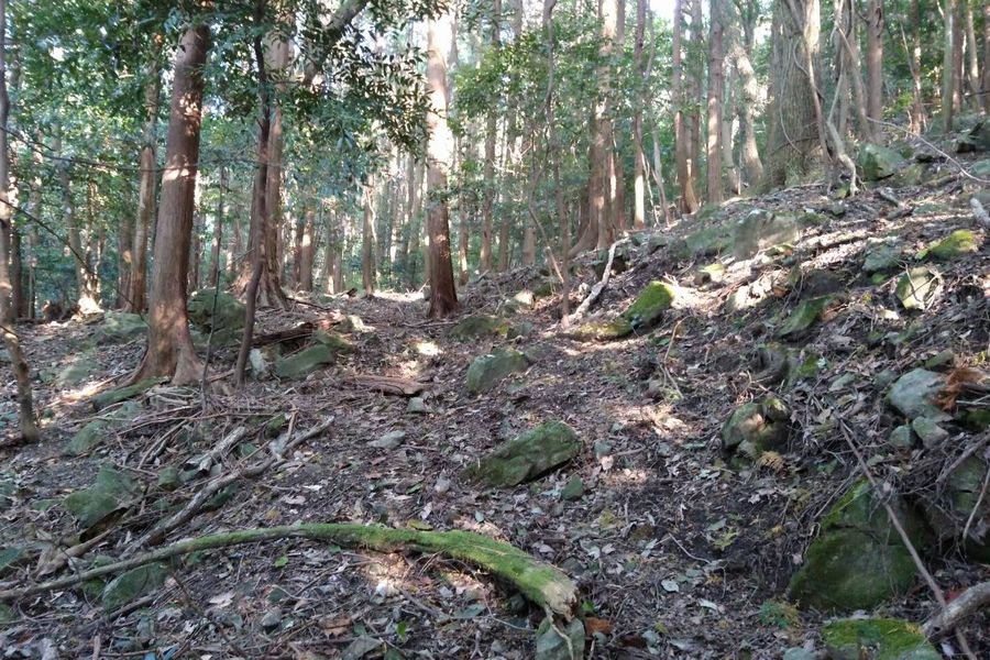 峠への不明瞭な道