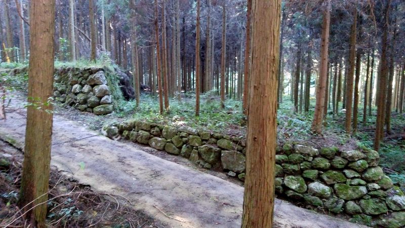 耕地跡4