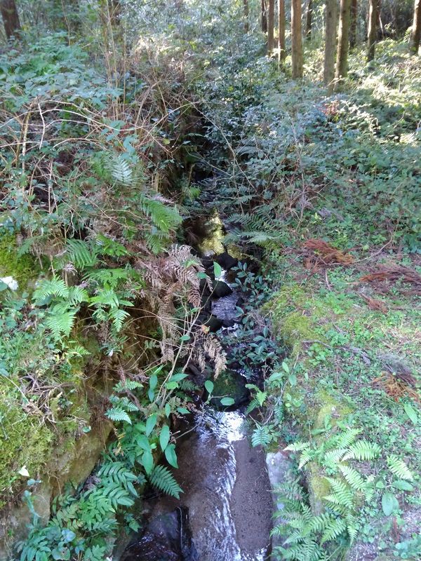 水路の跡