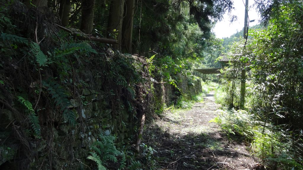 集落全景3
