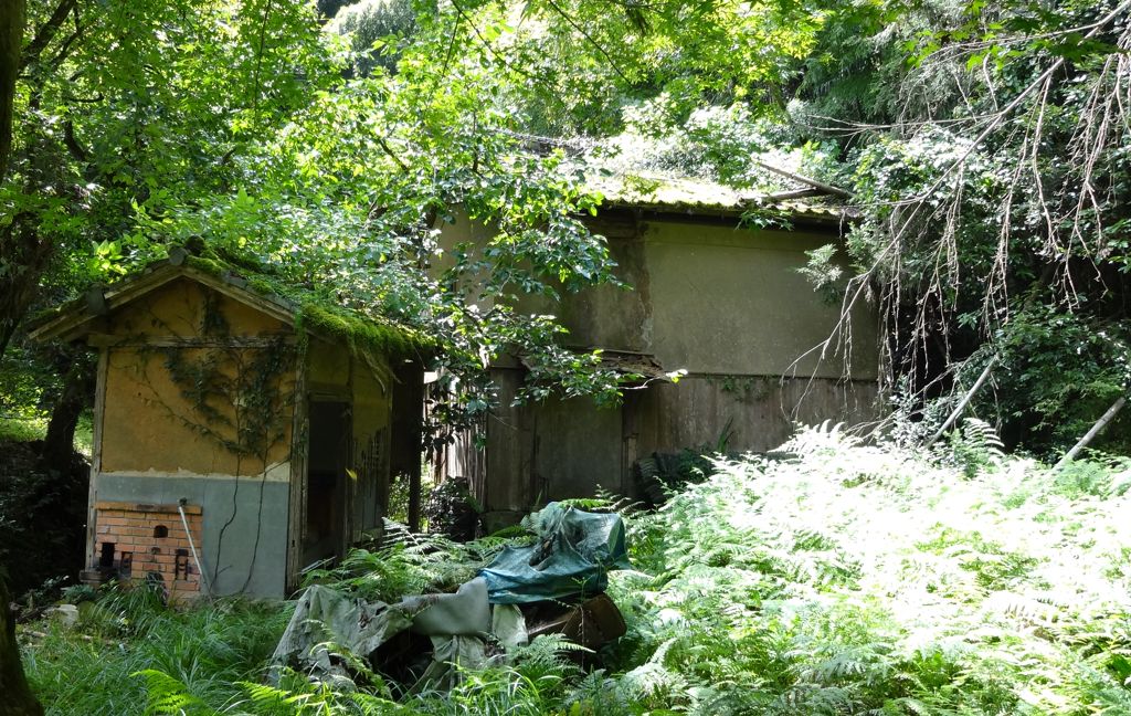 廃屋1