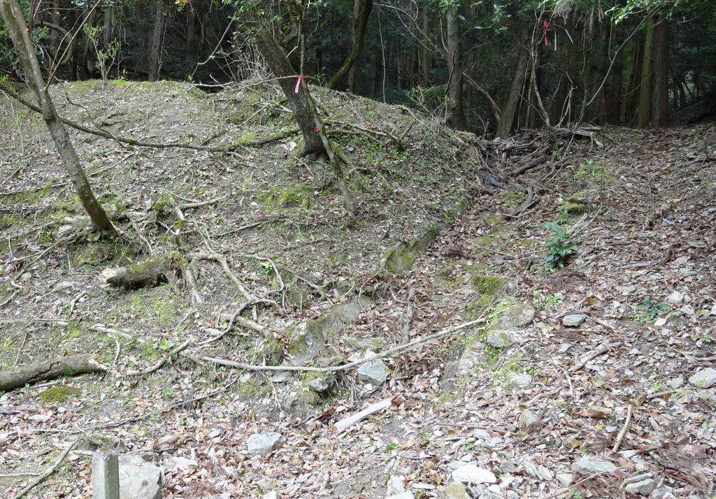 ため池2