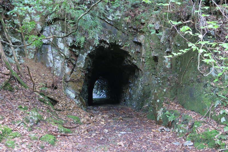 小匠ダムへ向かう道の隧道