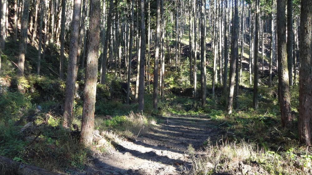 屋敷跡