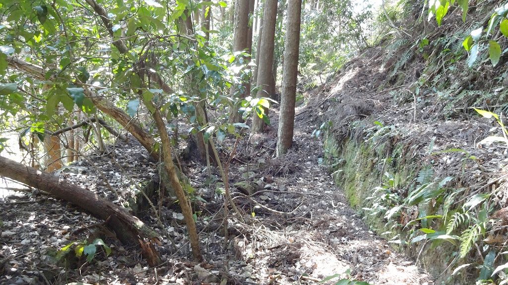 雄淵雌淵西部　水路の遺構