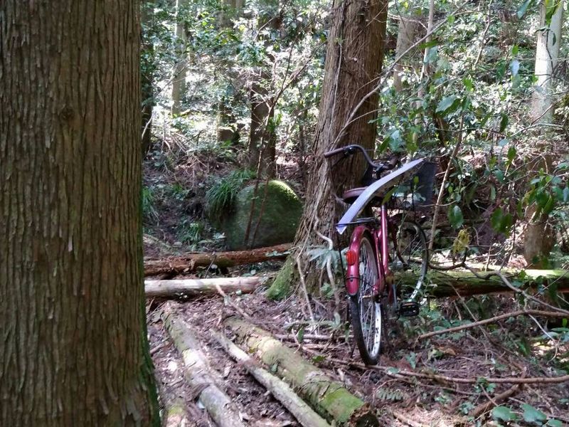 放置自転車 