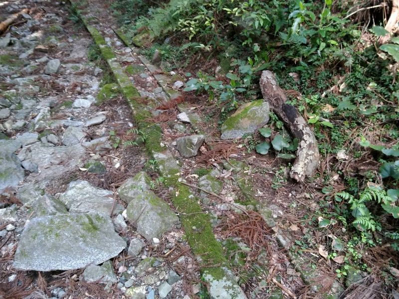 側溝跡 