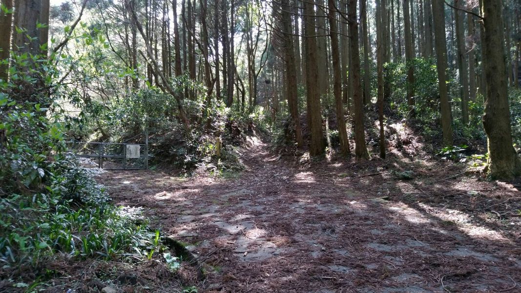 広場 