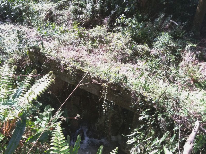 廃道石橋1 
