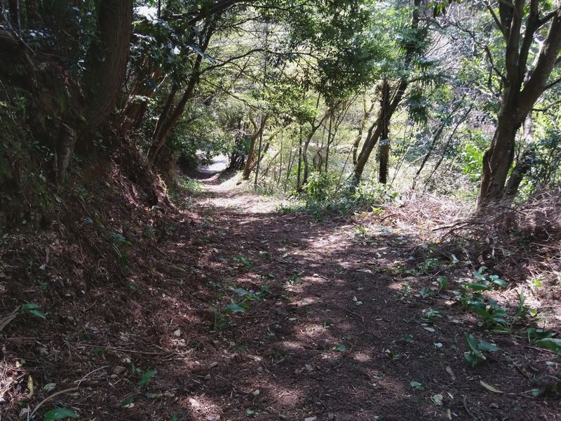旧道と現県道を結ぶ区間 