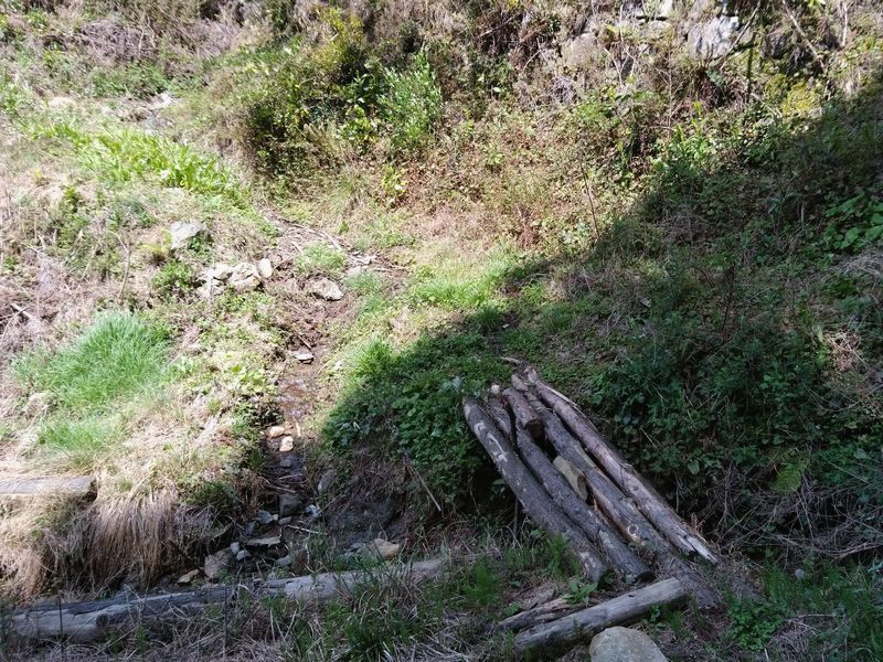 木橋 