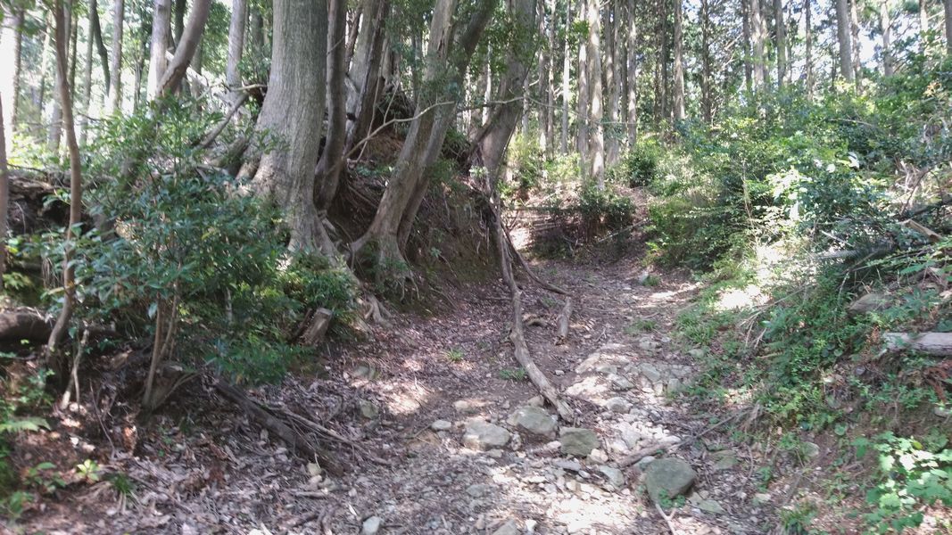古道っぽい風情ある道 