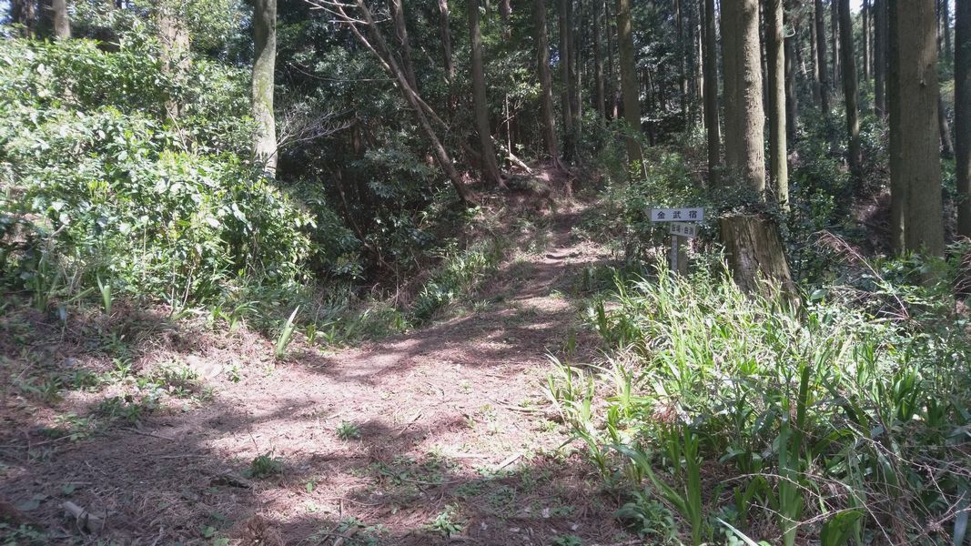 峠_飯場側より 