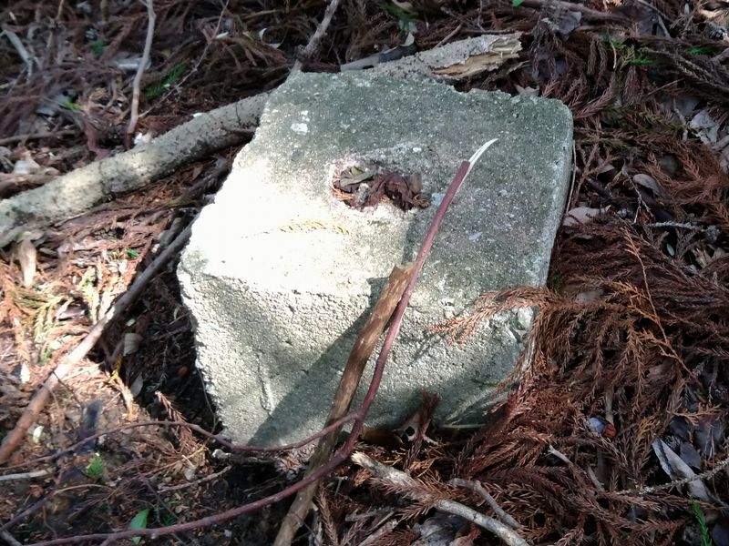基礎の遺構 