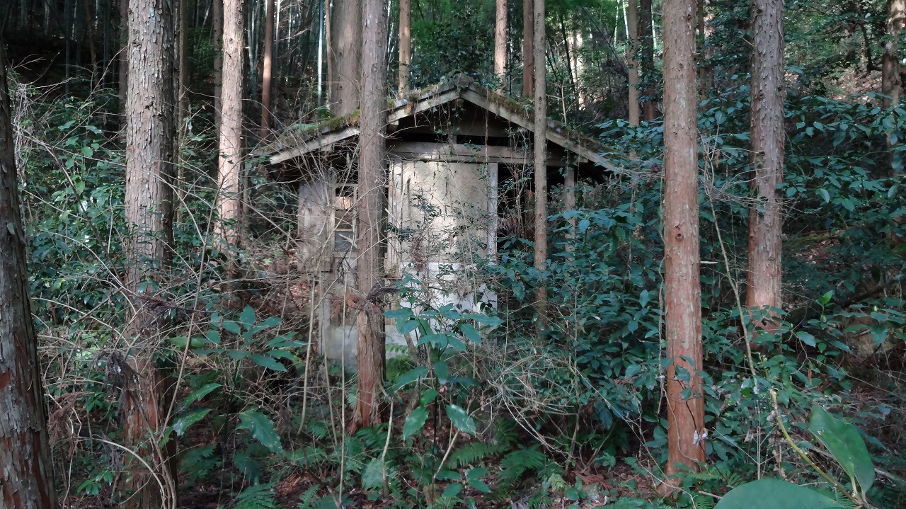 倒壊家屋