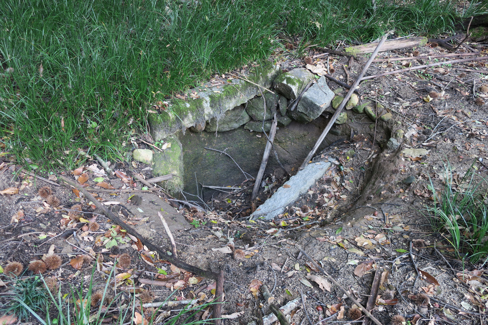 遺物4