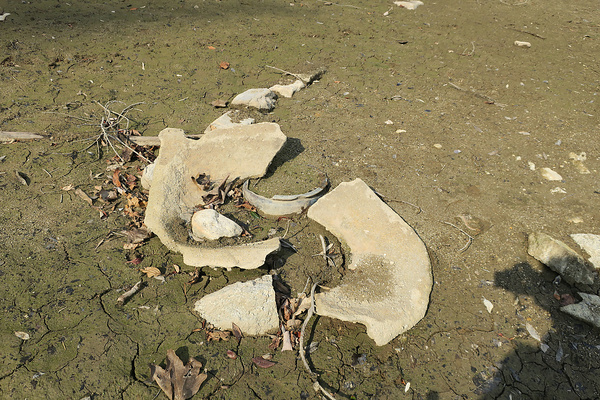 釜?