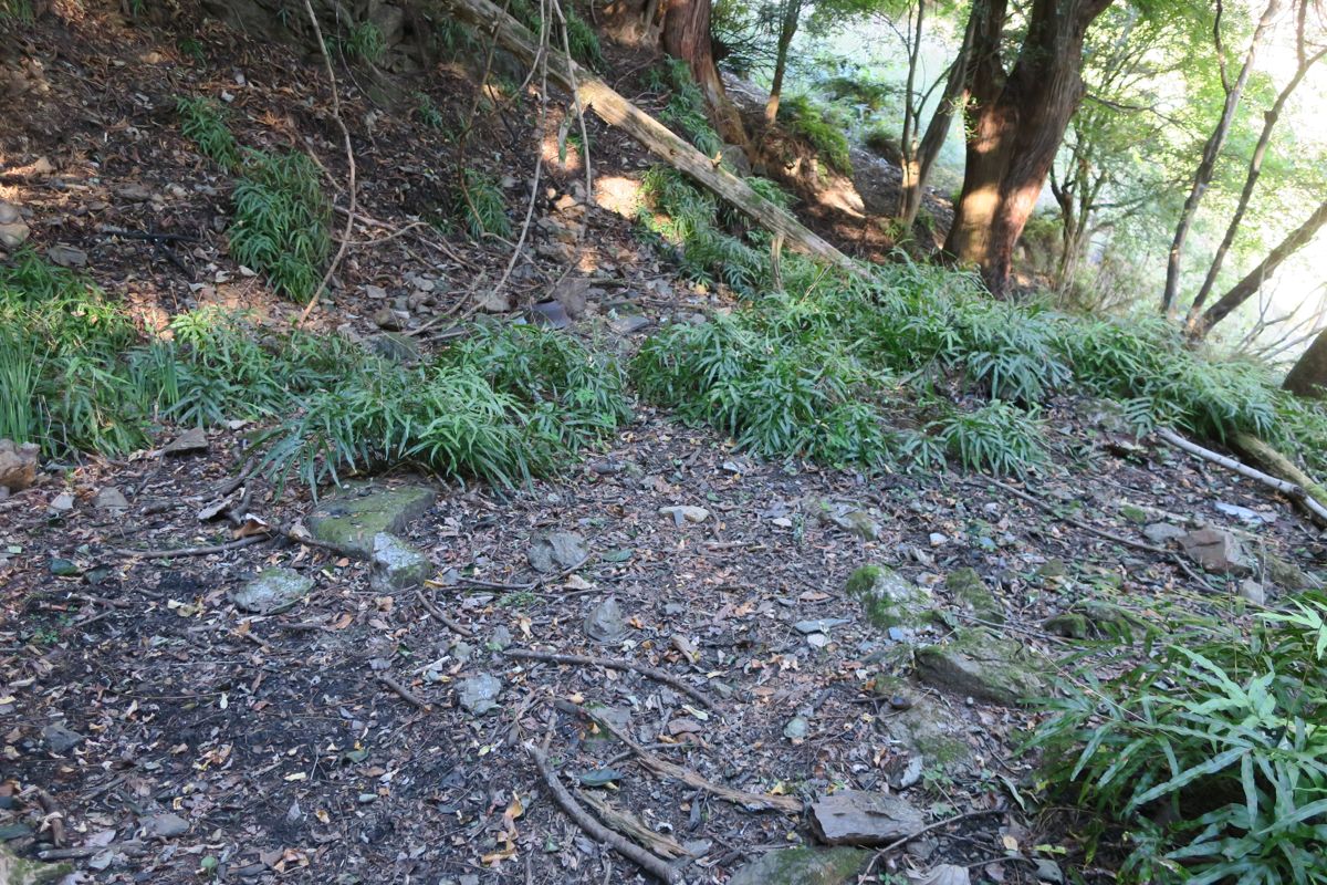 家屋跡地1-2